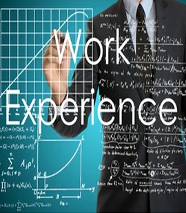 Practical Work Experience